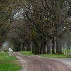 Straße in Südschweden-neu bearbetet.pg