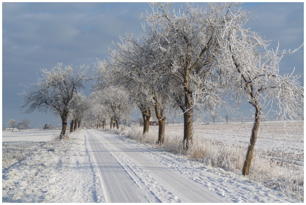 Strasse ins Nirgendwo