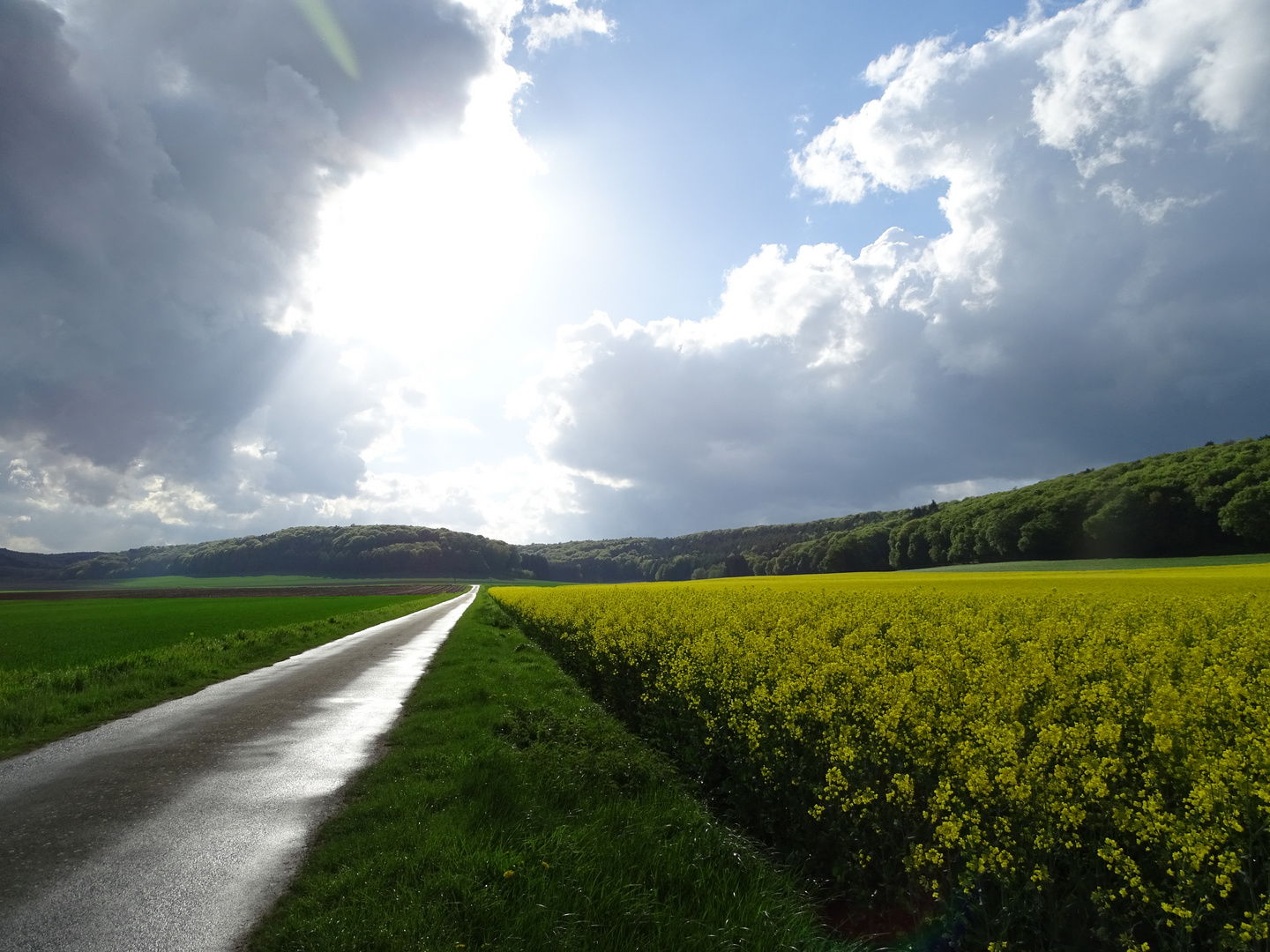 Straße ins Nirgendwo