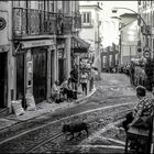 Straße, Leben, Portugal