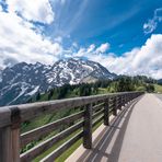 Straße mit Alpenblick