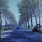 Straße nach Bremerhaven 1955