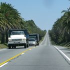 Straße nach Colonia del Sacramento (Uruguay)