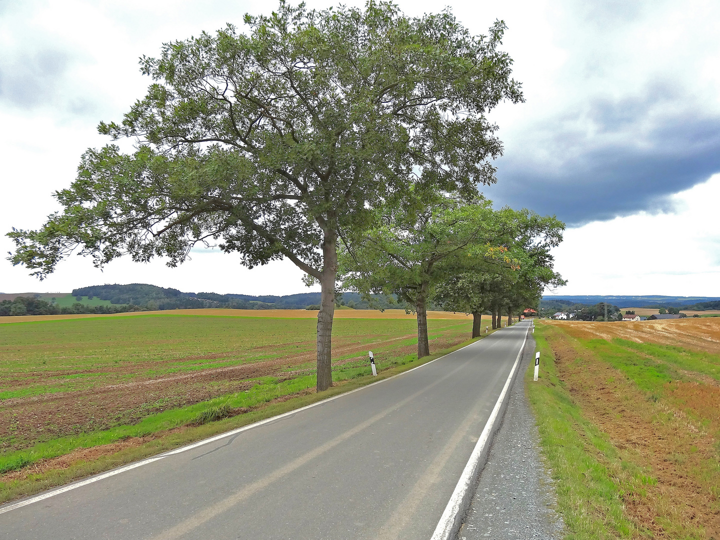 Straße nach Gansgrün an der Talsperre Pöhl