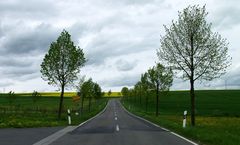 Straße nach Gemmerich