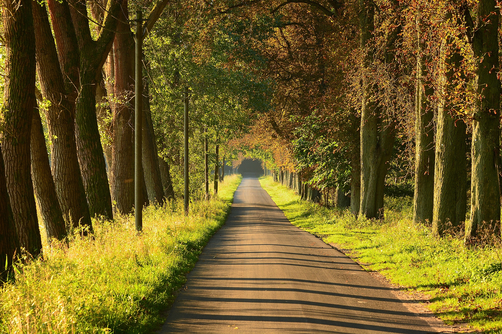 Straße nach Gühlen...