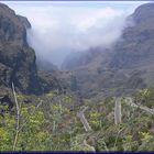 Straße nach Masca (Teneriffa)