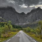Strasse nach Nusfjord - Lofoten / Norwegen