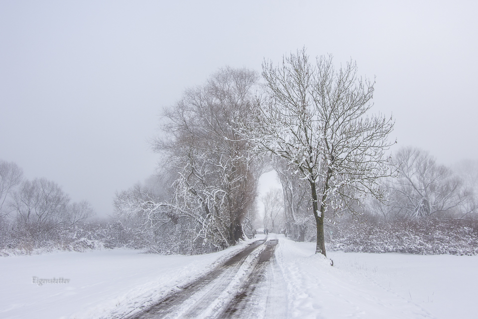 Strasse nach Pfatter