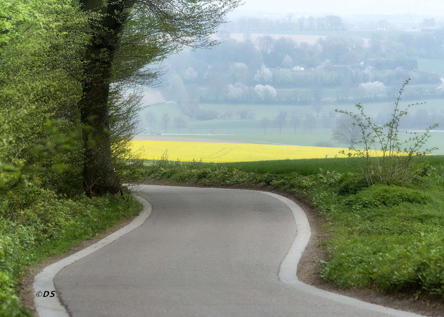 Strasse nach Vijlen/Holland