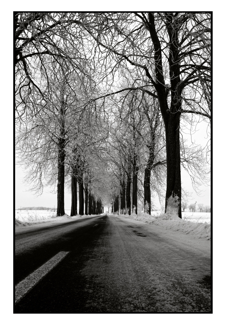 Straße nach Warthe, Lieper Winkel