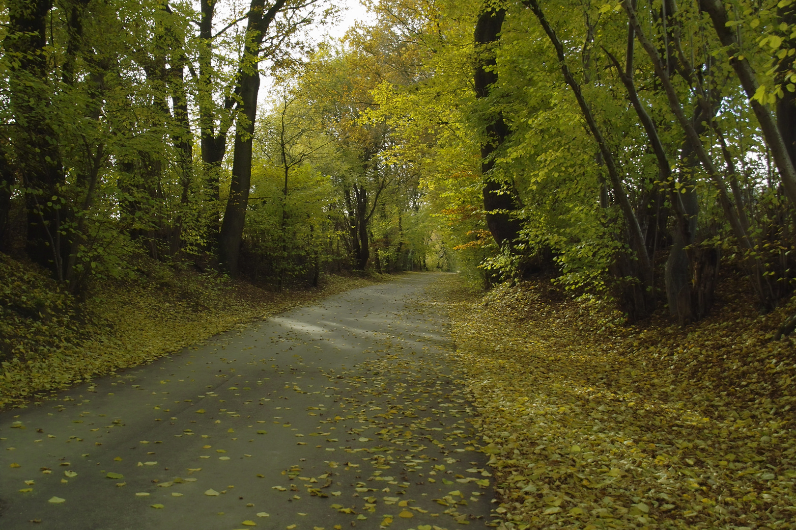 Straße ohne Anfang und Ende