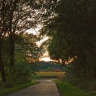 Straße und Blick nach Jacobsdorf, Land Brandenburg, Prignitz, Germany, Septemberabend