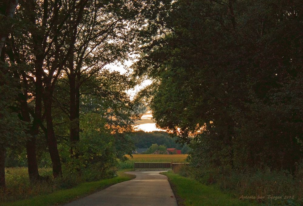 Straße und Blick nach Jacobsdorf, Land Brandenburg, Prignitz, Germany, Septemberabend