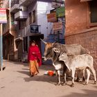 Straße von Jodhpur