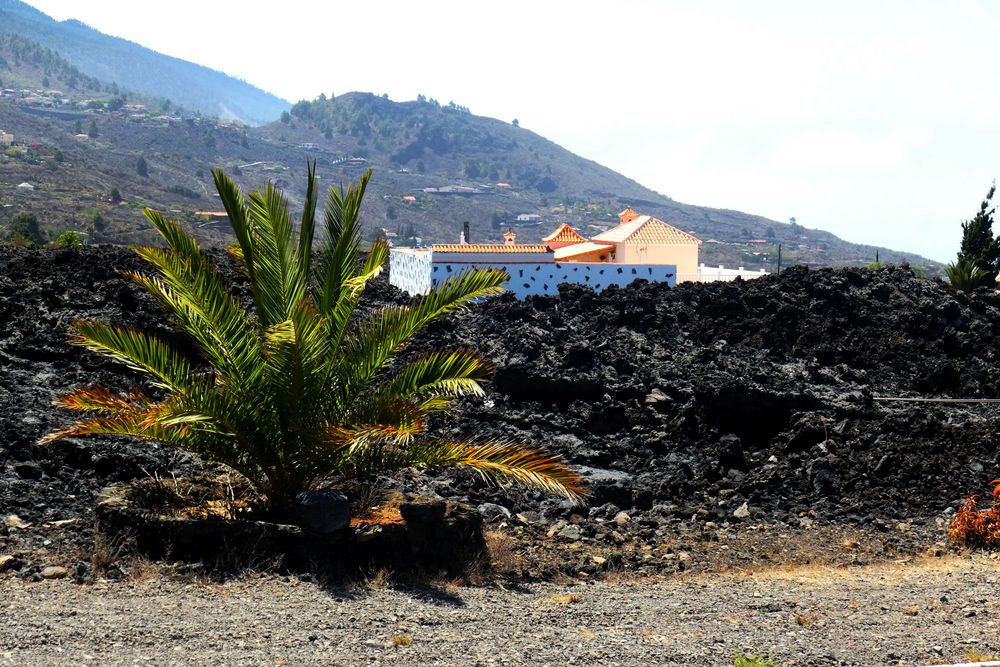 Straße von Todoque nach Las Manchas Lava 2019 Foto & Bild europe