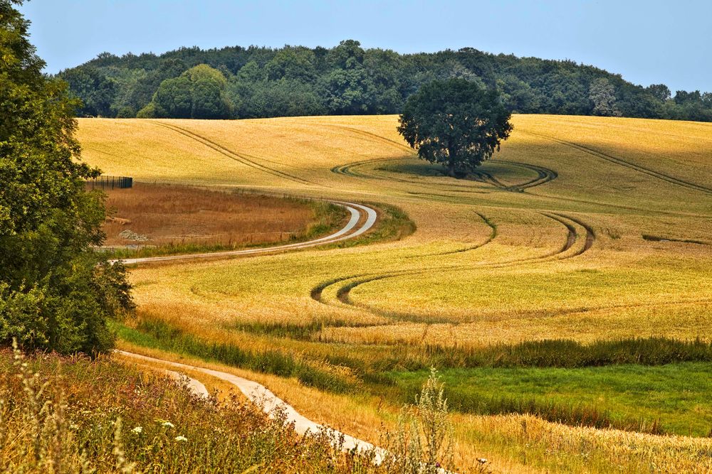 Straße Wirbelwind ...