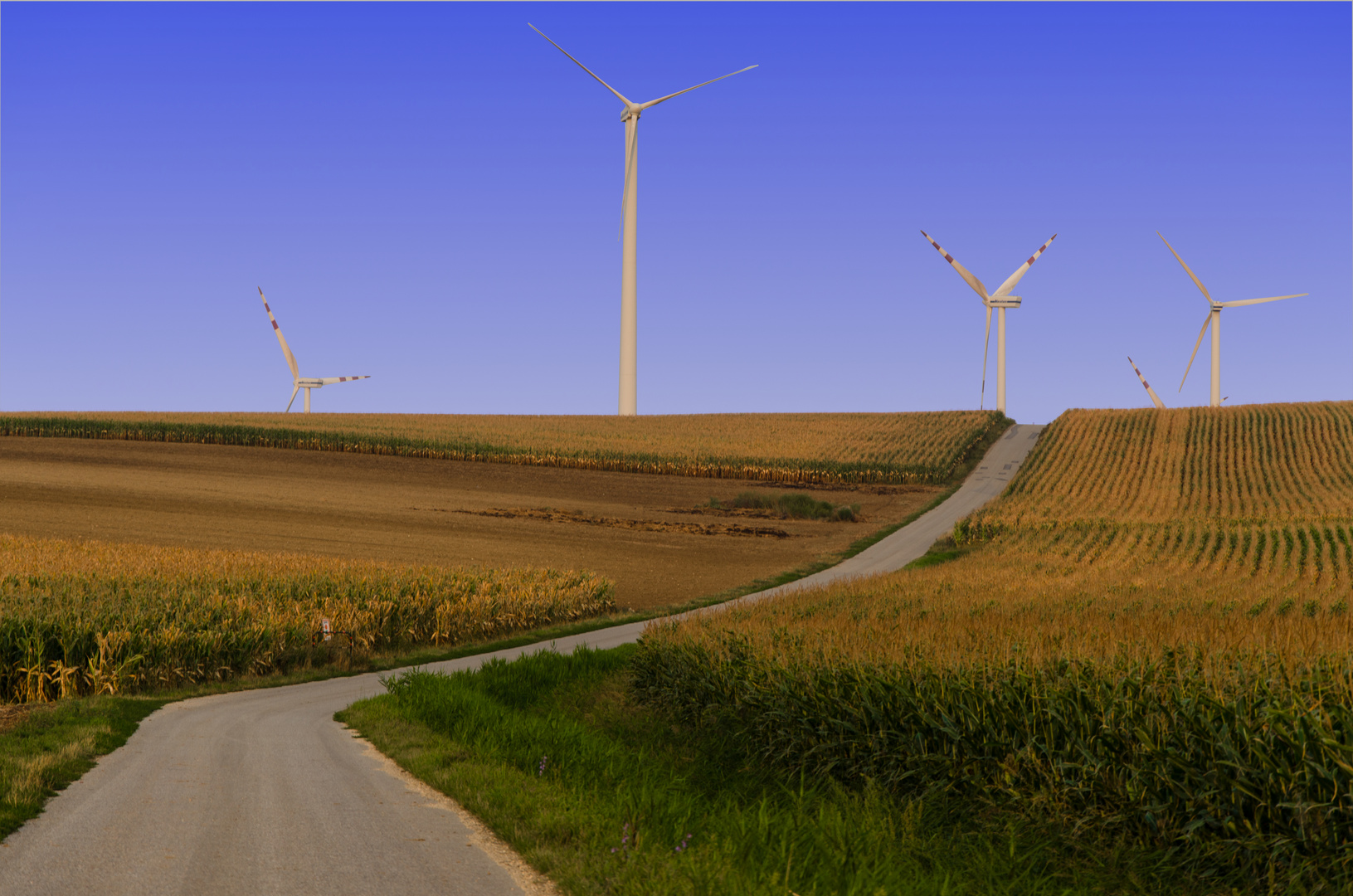 Straße zu den Windrädern