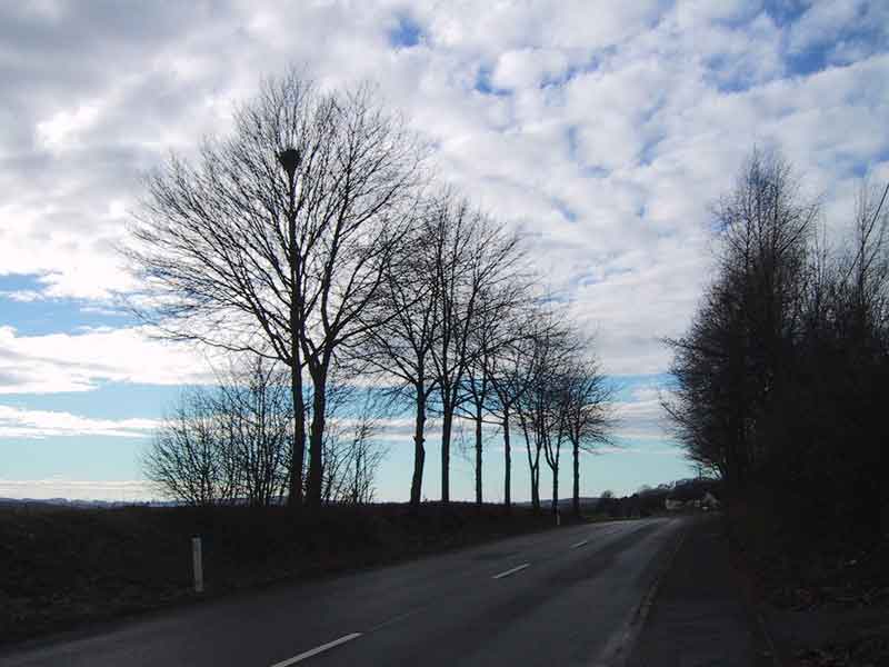 Straße zum Frühling?