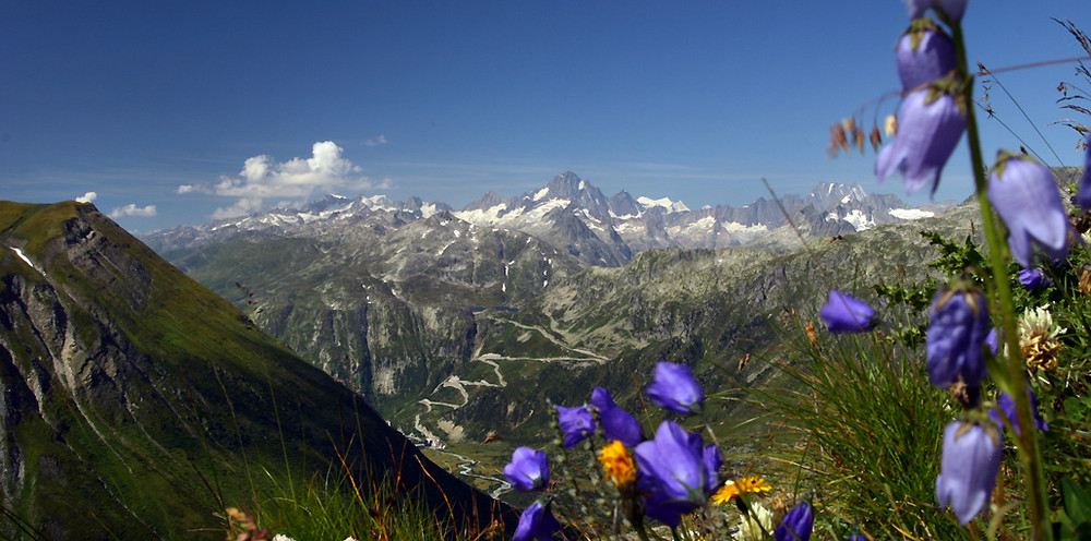 Strasse zum Grimselpass