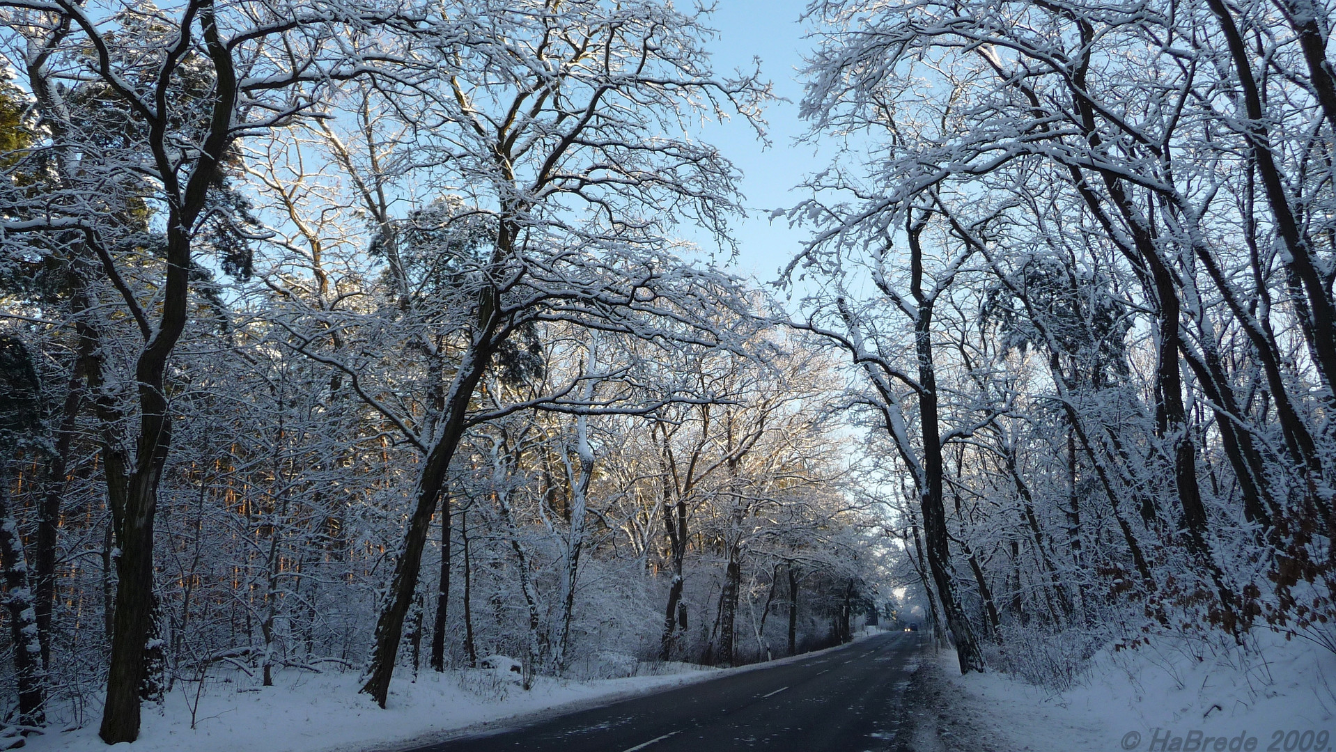 Strasse zum Licht