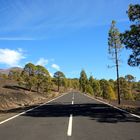 Strasse zum Teide