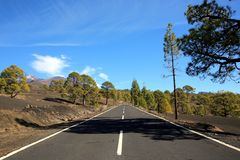 Strasse zum Teide