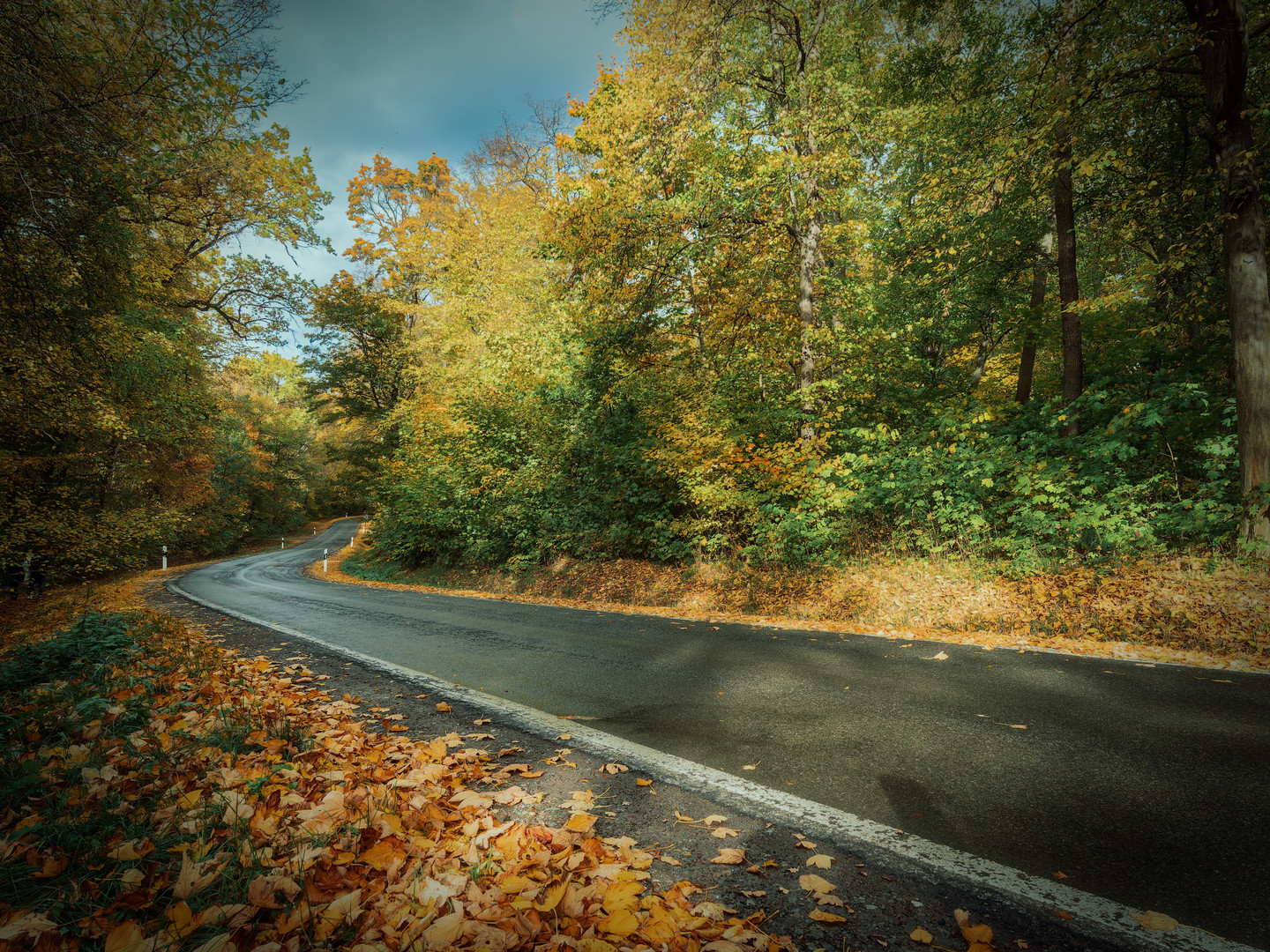 Strasse zum Waldhaus