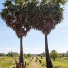 Straße zum Wat Phou