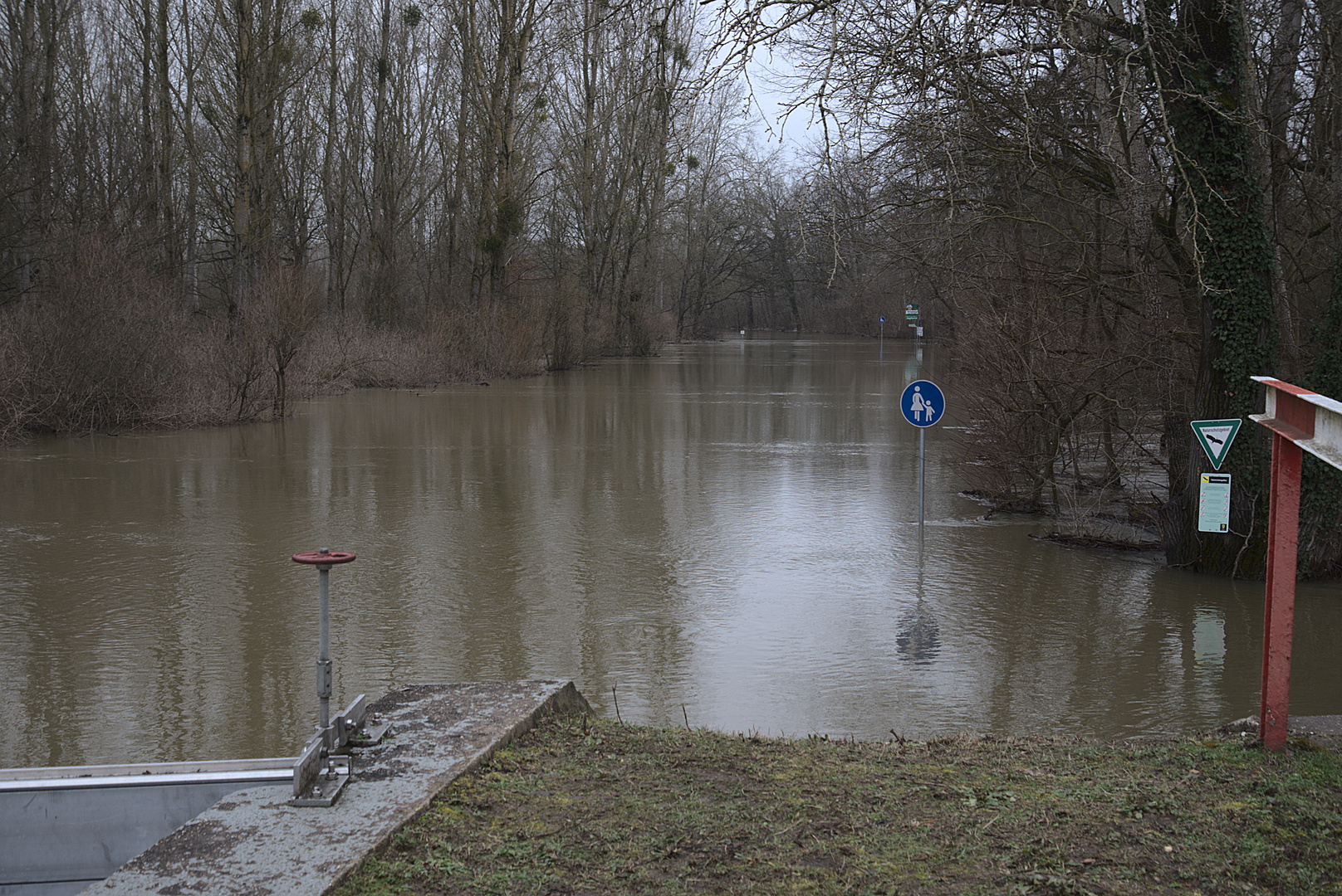 Straße zur Rheinfähre Neuburgweier