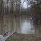 Straße zur Rheinfähre Neuburgweier