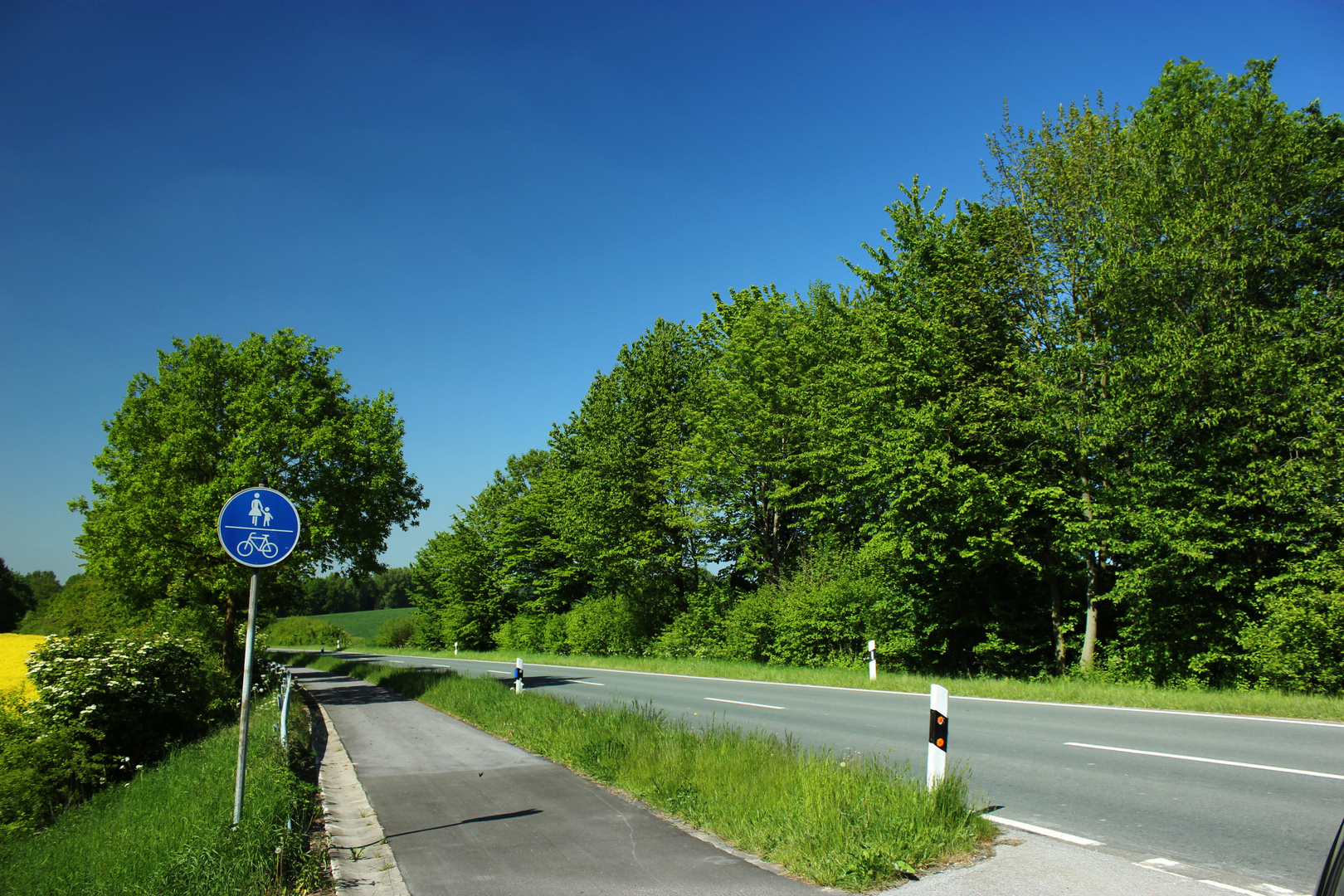 Straße zwischen Billerbeck und Rorup