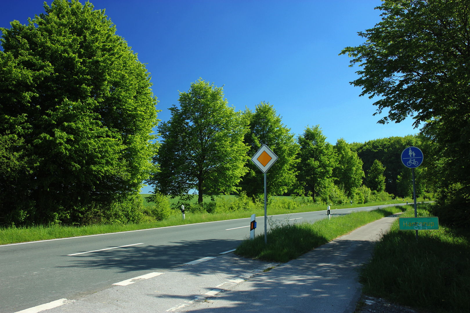 Straße zwischen Billerbeck und Rorup II