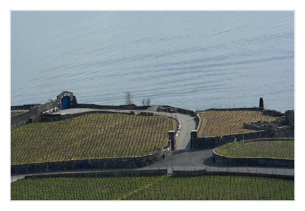 Strassen der Lavaux