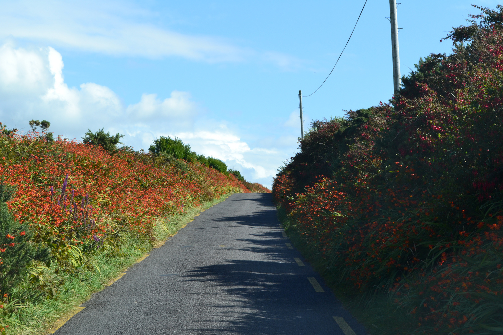 Straßen in Kerry