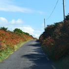 Straßen in Kerry