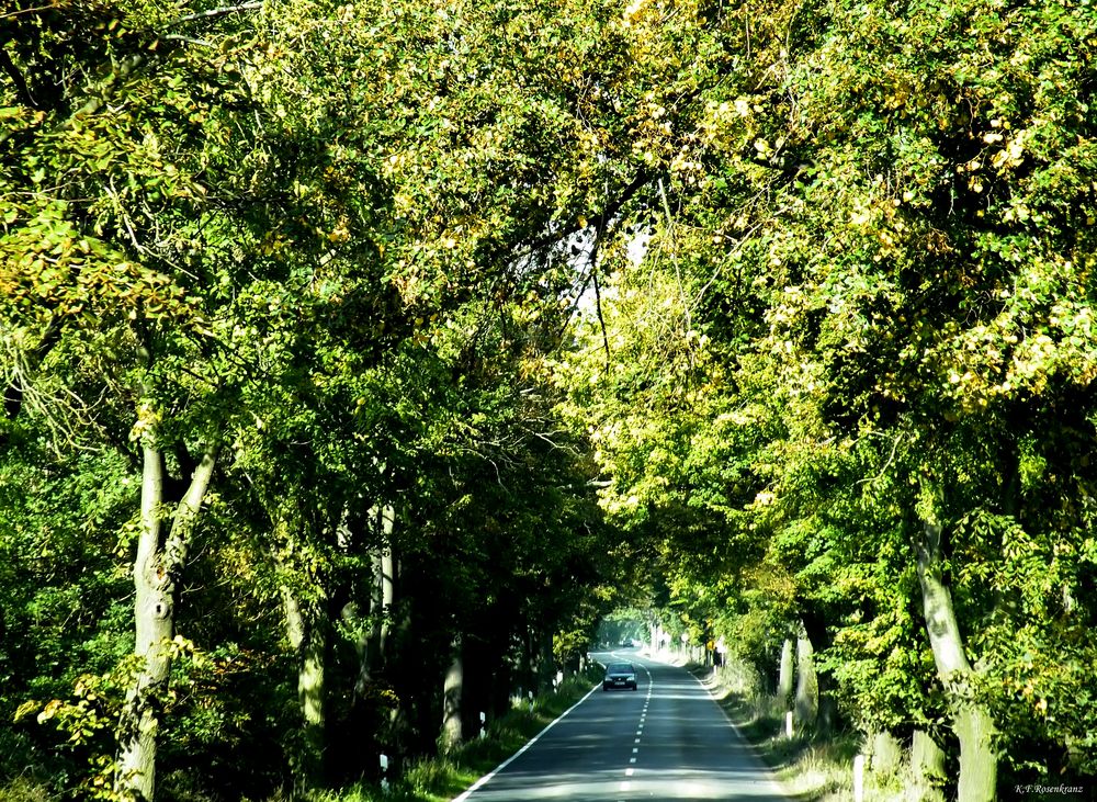 Straßen in Meck- Pom