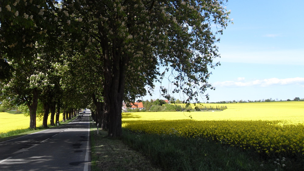 Straßen in NWM