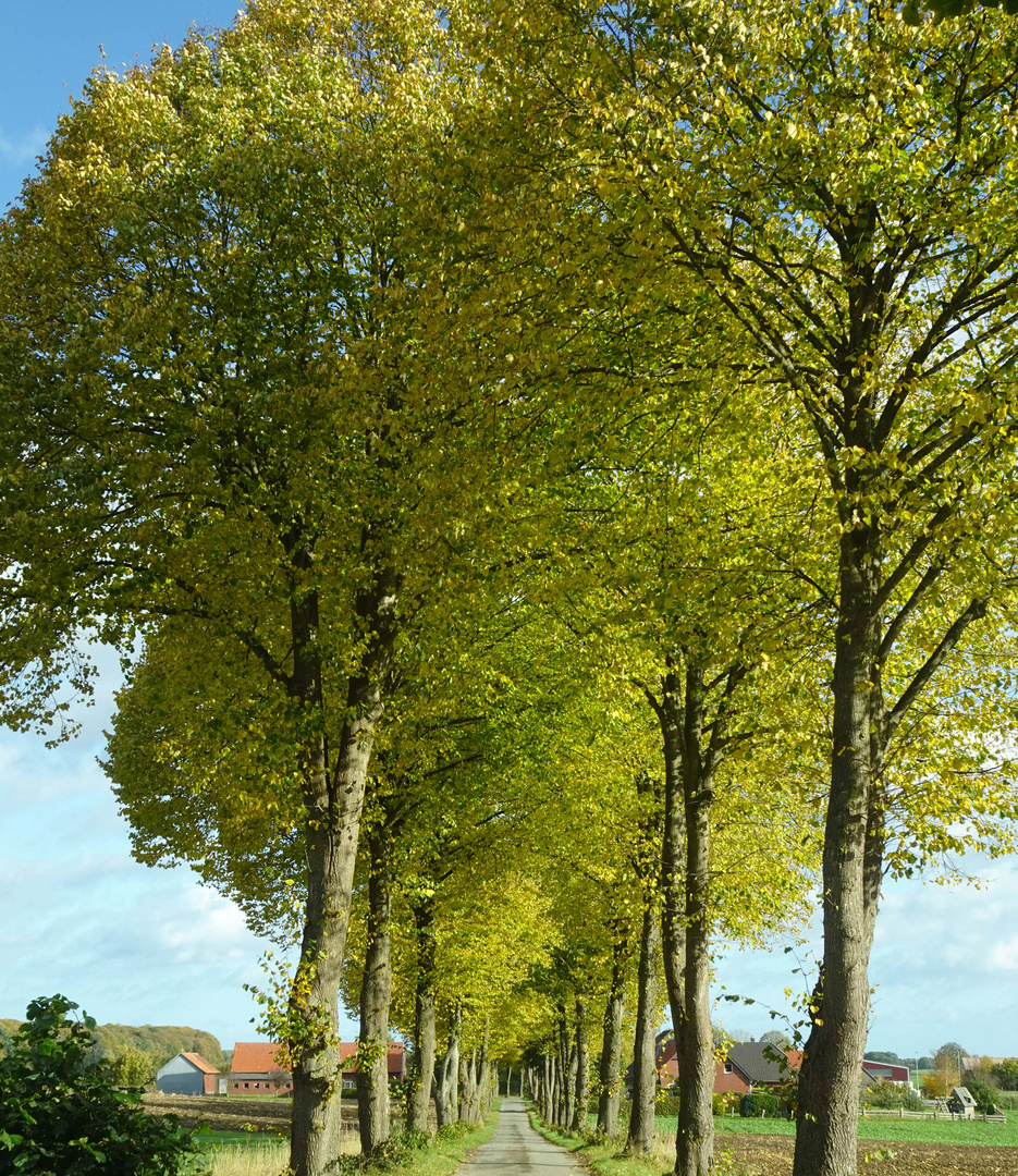 Straßen meiner Lieder Costa Cordalis 