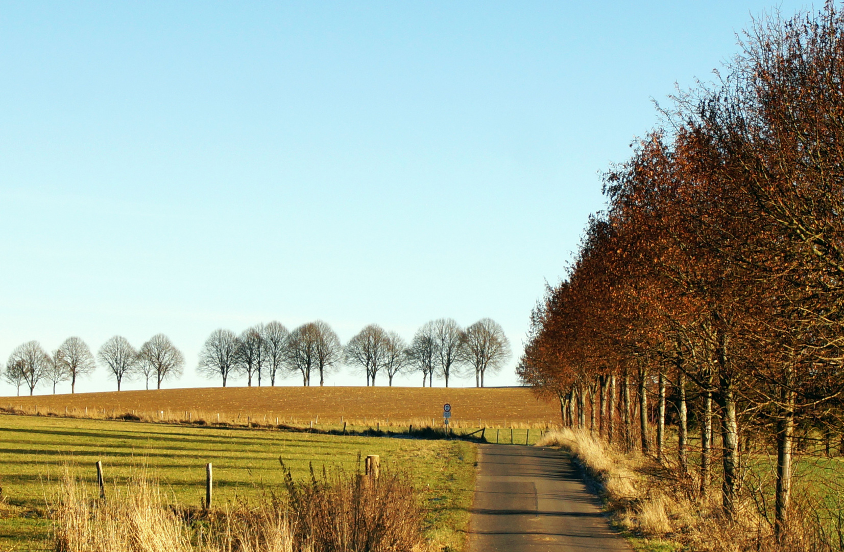 Straßen und Bäume