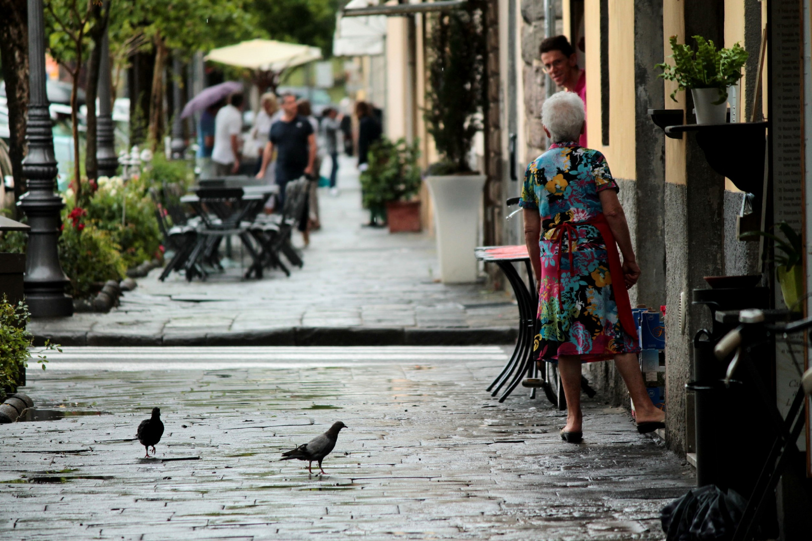 Straßen von Lucca