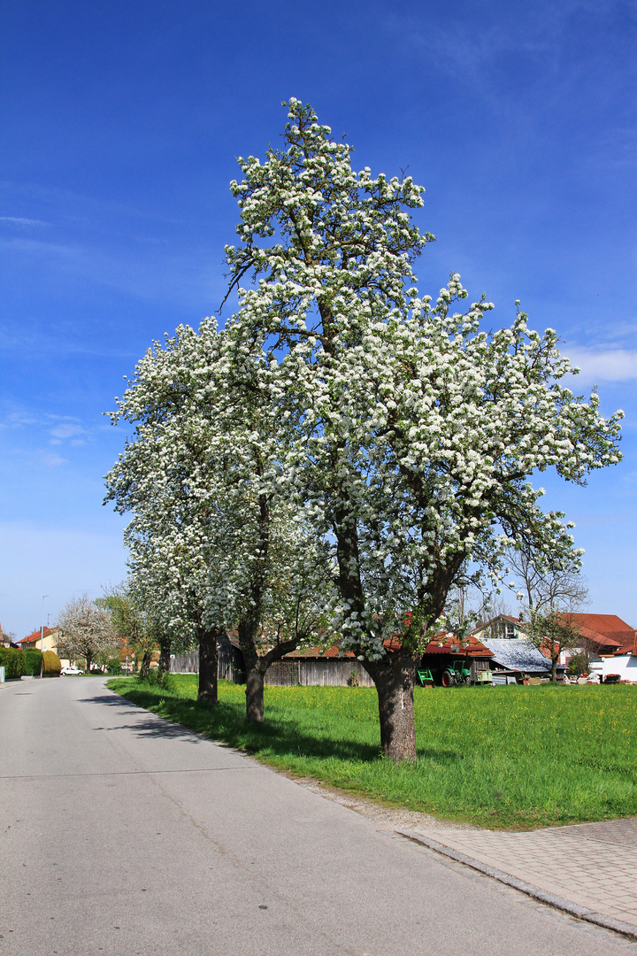 straßenansicht