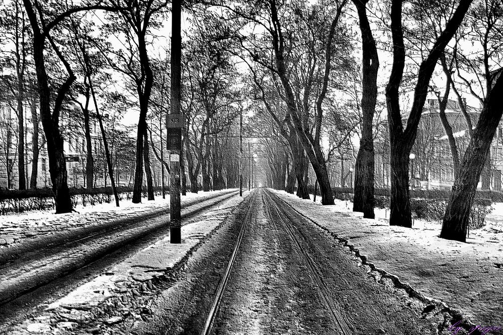 Strassenbahn