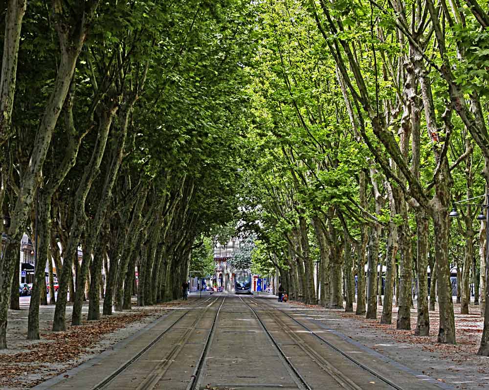 STRASSENBAHN ALLEE - BORDEAUX