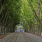 STRASSENBAHN ALLEE - BORDEAUX