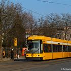 Straßenbahn auf der Canalettostraße in Nachmittagssonne