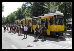 Straßenbahn-Ausflugsverkehr