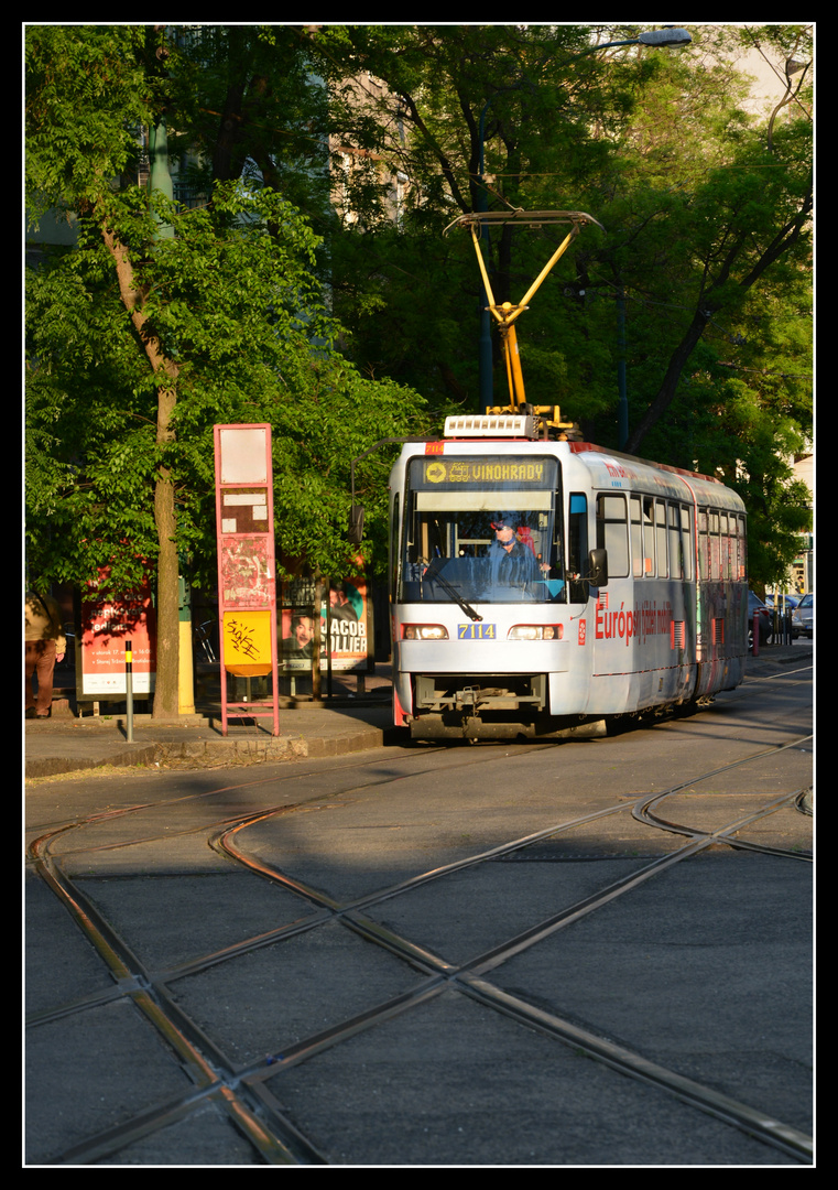 Straßenbahn Bratislava