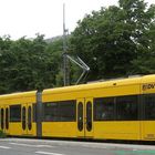 Strassenbahn Dresden