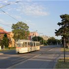 Straßenbahn Gotha [46] - Orangerie